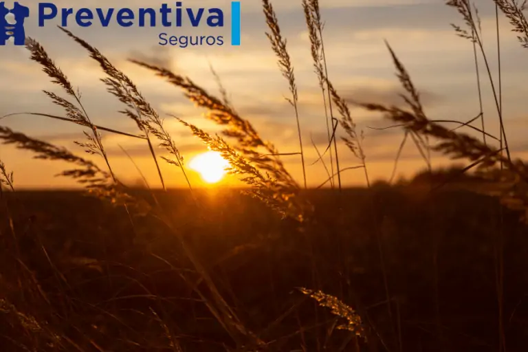 Seguro de Decesos Preventiva: Cobertura y Asesoría